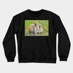 Vervet Monkeys, Lake Manyara National Park, Tanzania Crewneck Sweatshirt